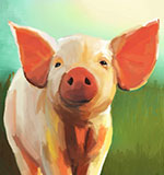 Pig.jpg